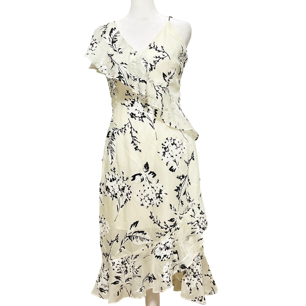 Dragonfly‎ womens dress sheer ruffle floral fairy coquette cottage boho Med NWT